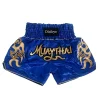 Flame Muay Thai Boxing Shorts 2