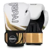 6oz-16oz Ginpai Training Gloves 10